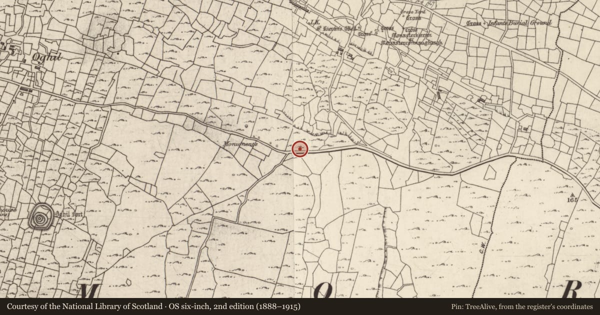 Ordnance Survey six-inch map, 2nd edition (1888–1915) covering the location of Milestone, Eochaill (Bar. Árainn), County Galway, with a pin at the register's coordinates