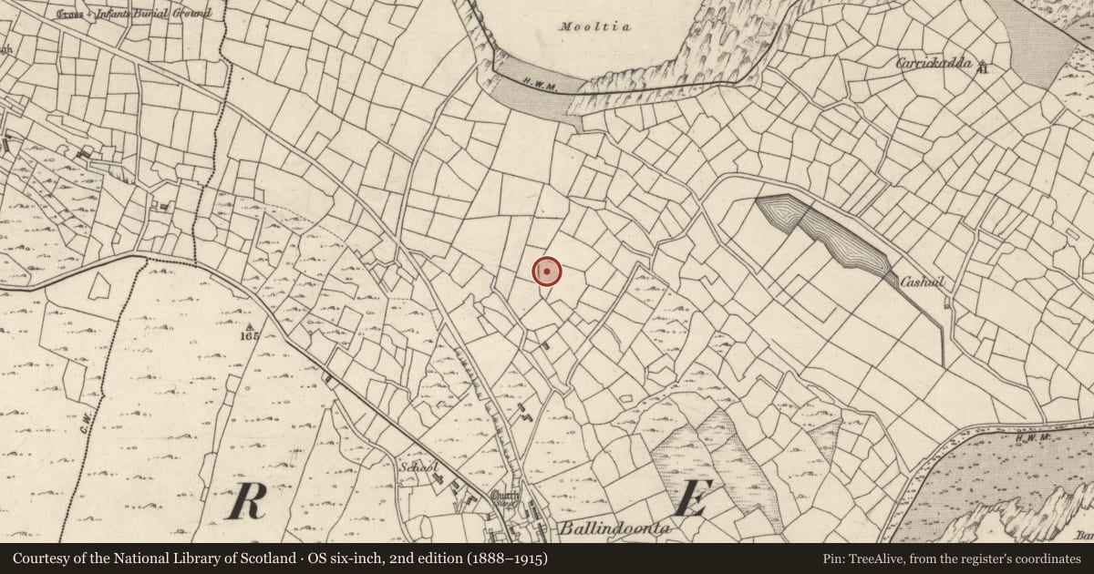 Ordnance Survey six-inch map, 2nd edition (1888–1915) covering the location of Graveyard, Cill Éinne, County Galway, with a pin at the register's coordinates