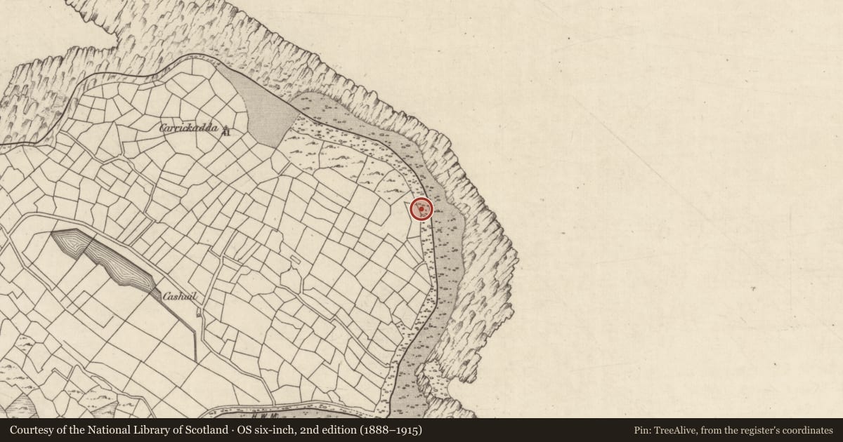 Ordnance Survey six-inch map, 2nd edition (1888–1915) covering the location of Burial, Cill Éinne, County Galway, with a pin at the register's coordinates