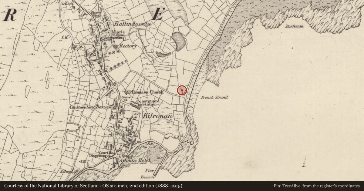 Ordnance Survey six-inch map, 2nd edition (1888–1915) covering the location of Burial, Cill Éinne, County Galway, with a pin at the register's coordinates
