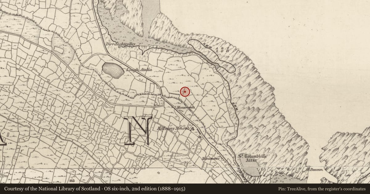 Ordnance Survey six-inch map, 2nd edition (1888–1915) covering the location of Leacht cuimhne, Cill Éinne, County Galway, with a pin at the register's coordinates