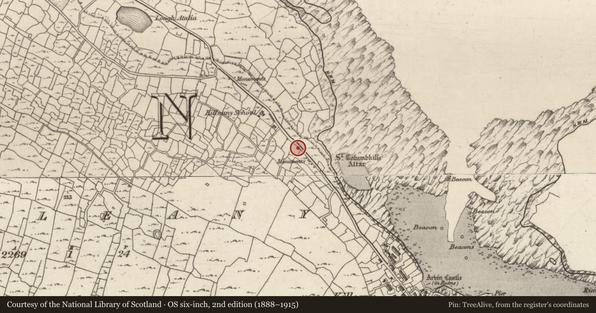 Ordnance Survey six-inch map, 2nd edition (1888–1915) covering the location of Leacht cuimhne, Cill Éinne, County Galway, with a pin at the register's coordinates