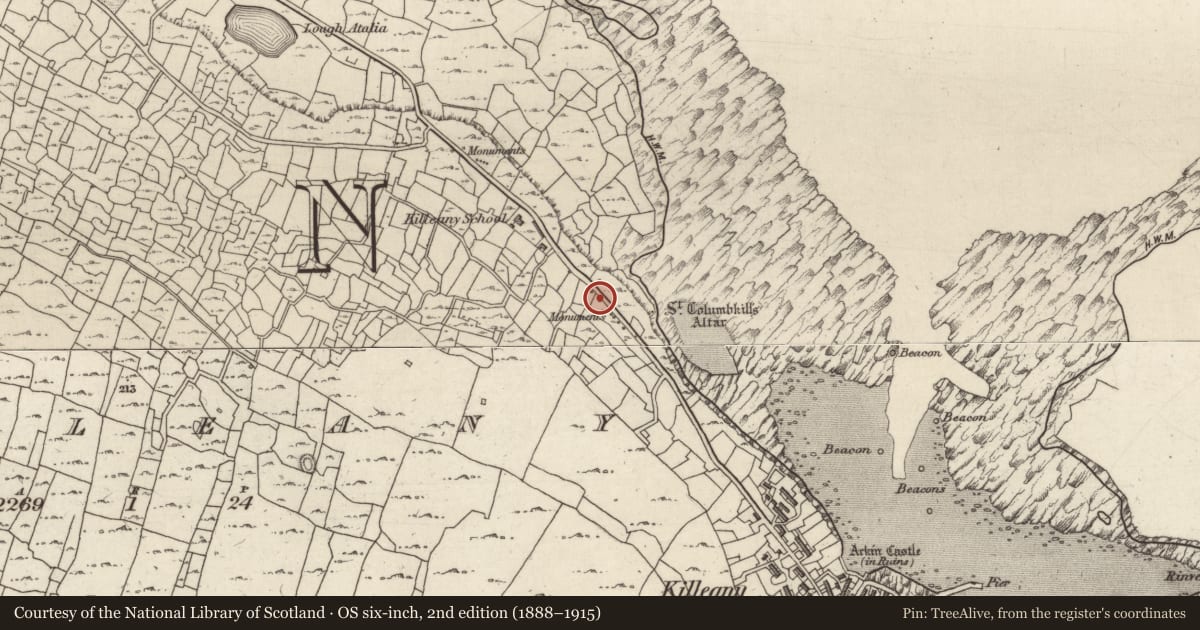 Ordnance Survey six-inch map, 2nd edition (1888–1915) covering the location of Leacht cuimhne, Cill Éinne, County Galway, with a pin at the register's coordinates