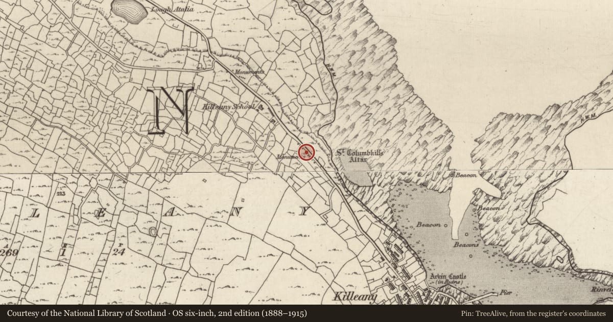 Ordnance Survey six-inch map, 2nd edition (1888–1915) covering the location of Leacht cuimhne, Cill Éinne, County Galway, with a pin at the register's coordinates