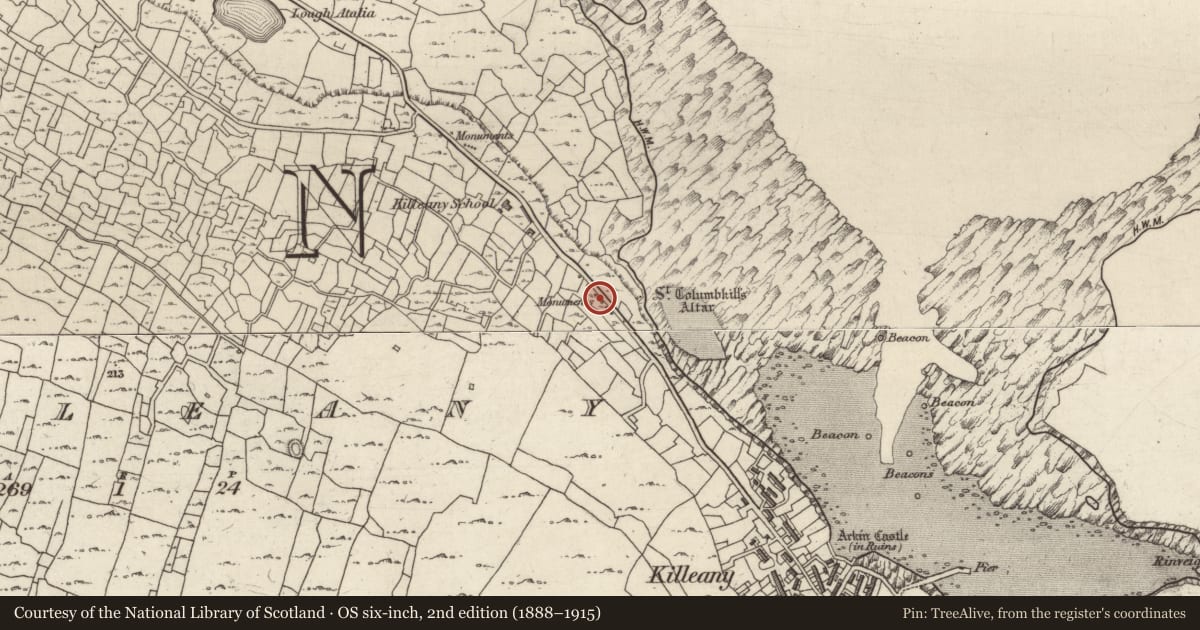 Ordnance Survey six-inch map, 2nd edition (1888–1915) covering the location of Leacht cuimhne, Cill Éinne, County Galway, with a pin at the register's coordinates