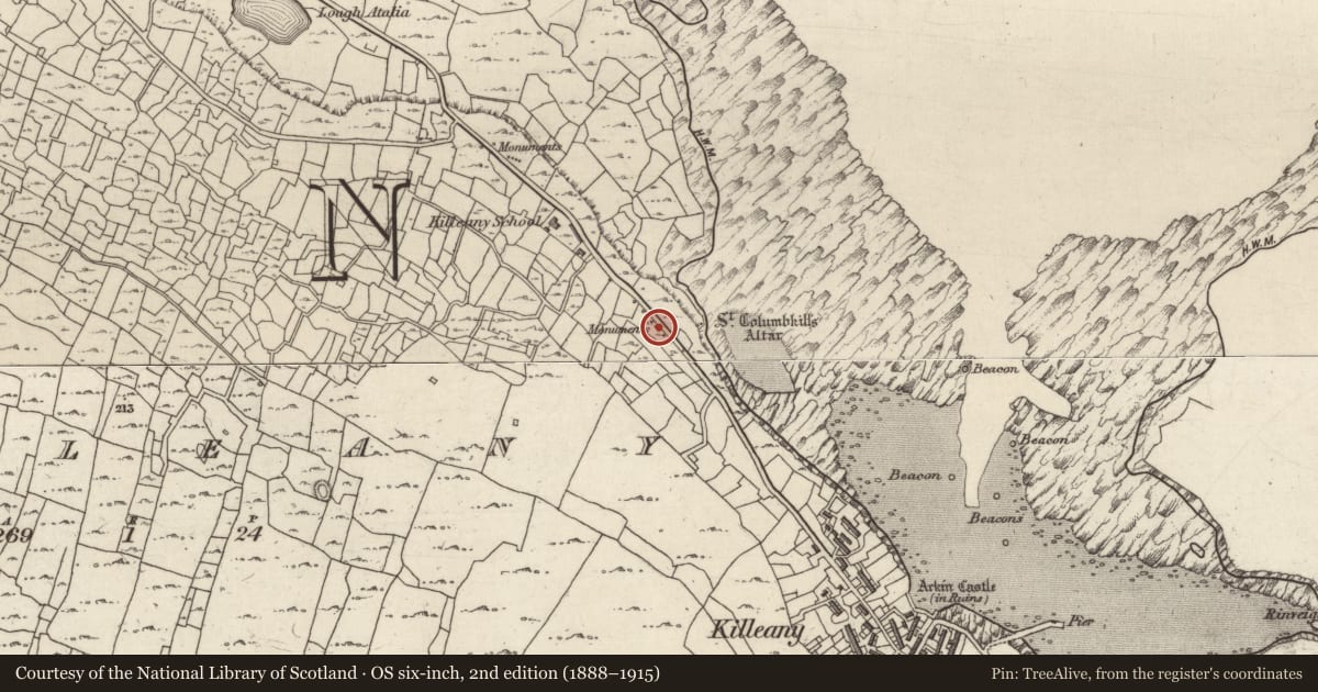 Ordnance Survey six-inch map, 2nd edition (1888–1915) covering the location of Leacht cuimhne, Cill Éinne, County Galway, with a pin at the register's coordinates