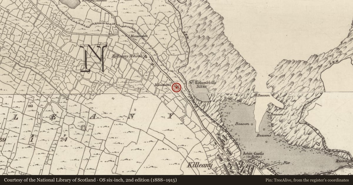 Ordnance Survey six-inch map, 2nd edition (1888–1915) covering the location of Leacht cuimhne, Cill Éinne, County Galway, with a pin at the register's coordinates