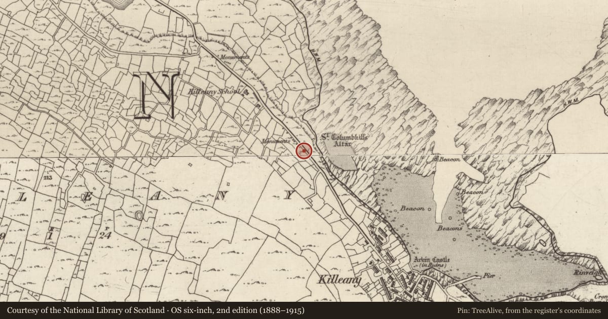 Ordnance Survey six-inch map, 2nd edition (1888–1915) covering the location of Leacht cuimhne, Cill Éinne, County Galway, with a pin at the register's coordinates