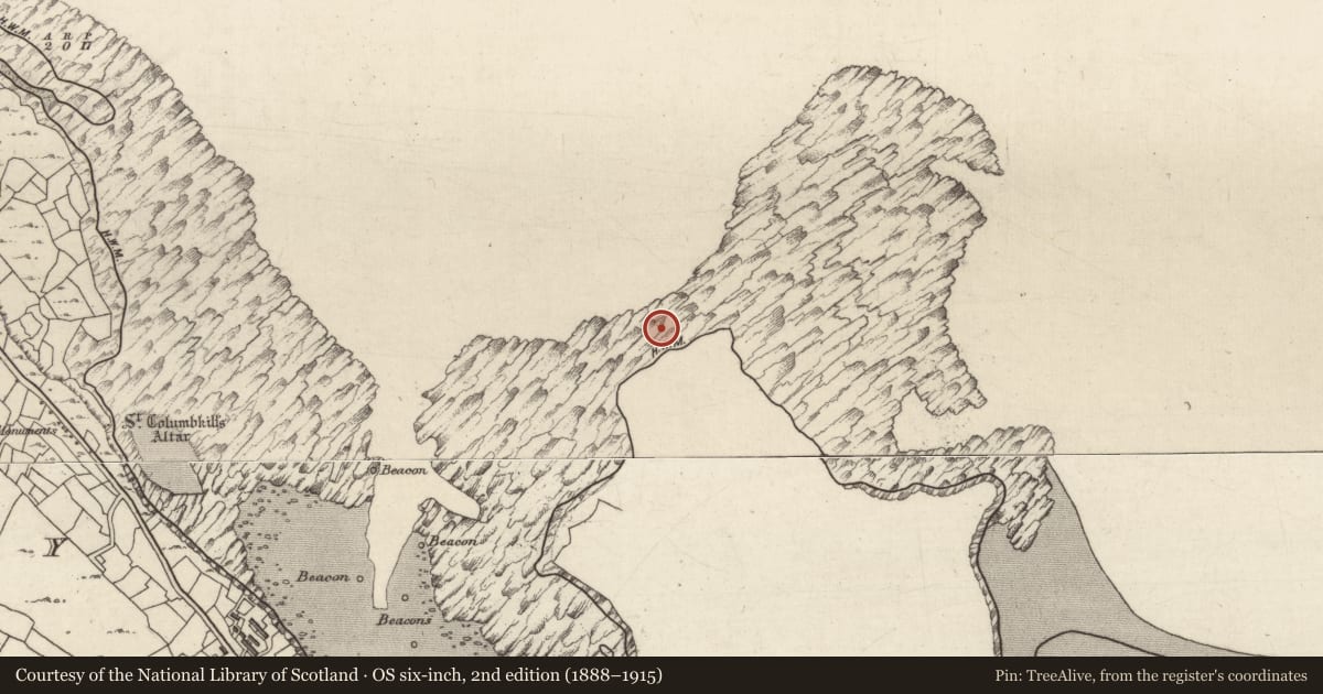 Ordnance Survey six-inch map, 2nd edition (1888–1915) covering the location of Ritual site - holy/saint's stone, Cill Éinne, County Galway, with a pin at the register's coordinates