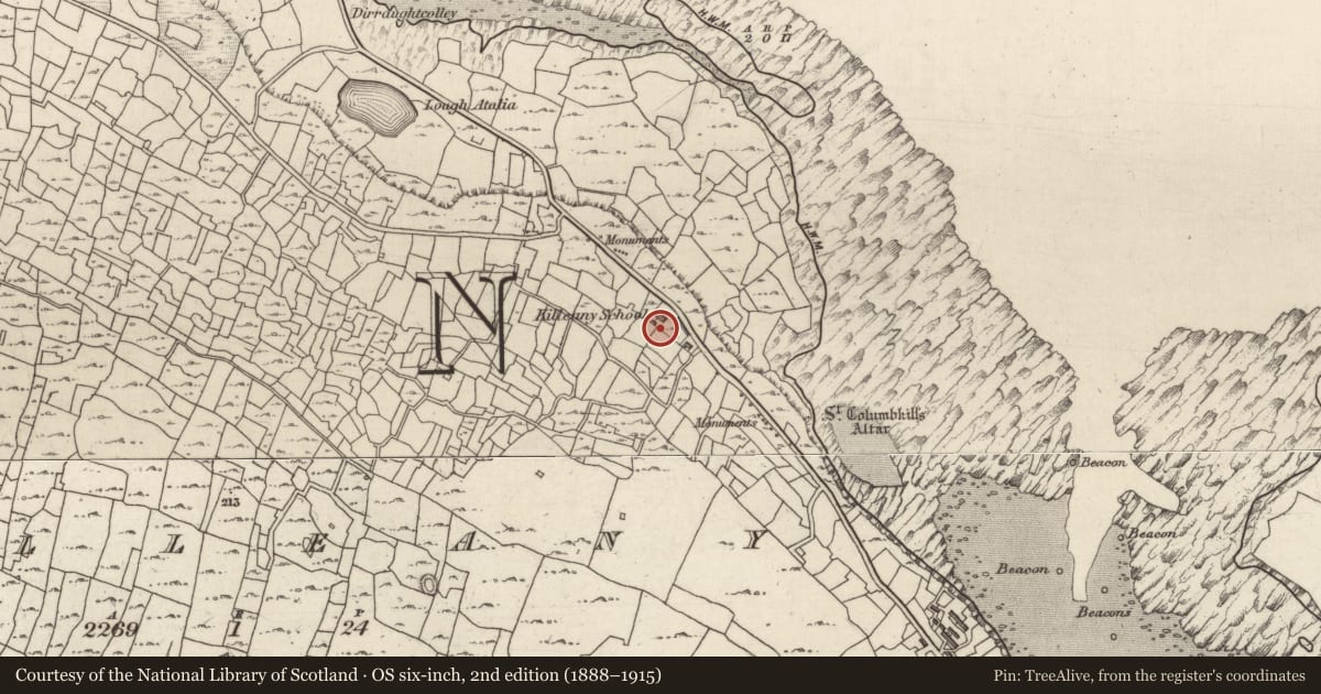 Ordnance Survey six-inch map, 2nd edition (1888–1915) covering the location of Cross-slab (present location), Cill Éinne, County Galway, with a pin at the register's coordinates