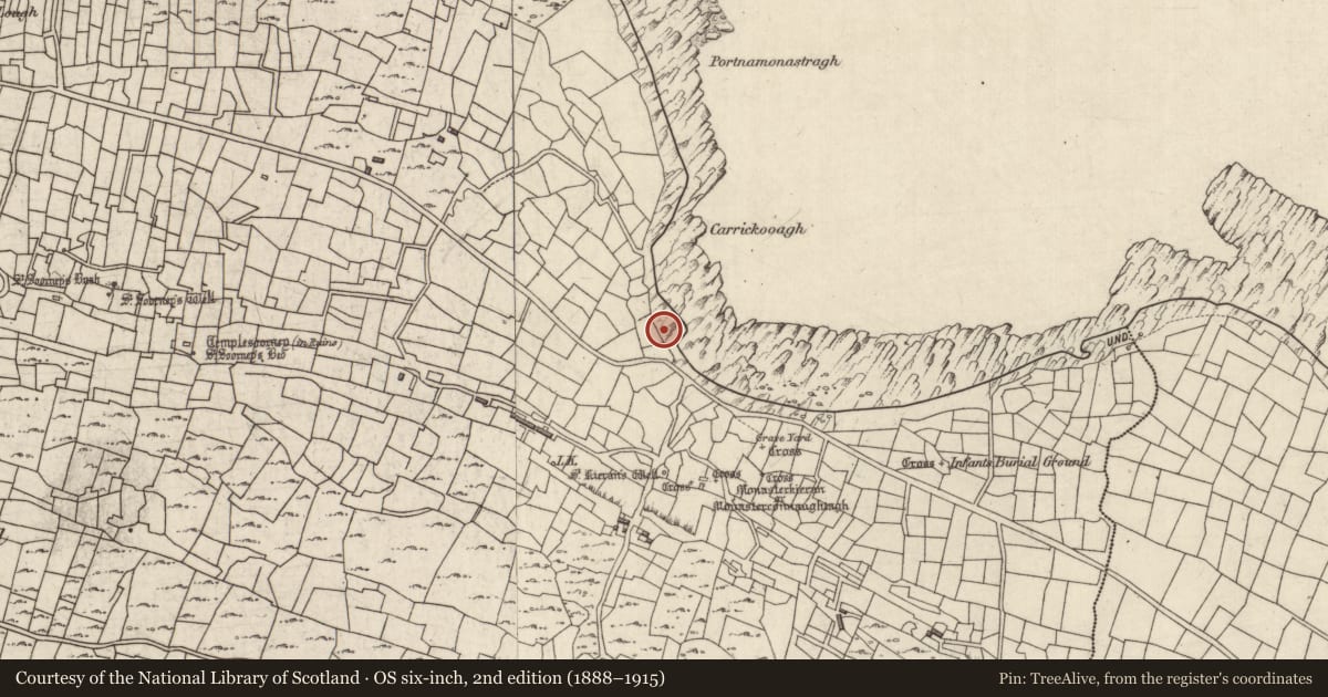 Ordnance Survey six-inch map, 2nd edition (1888–1915) covering the location of Cist, Eochaill (Bar. Árainn), County Galway, with a pin at the register's coordinates