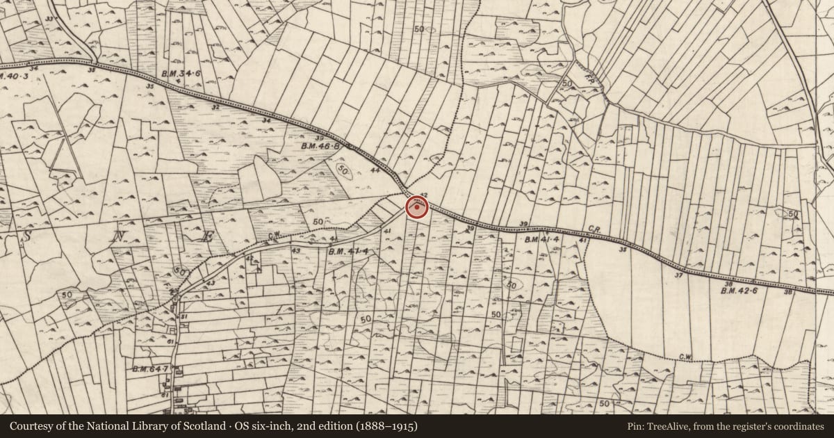Ordnance Survey six-inch map, 2nd edition (1888–1915) covering the location of Souterrain, Carrownamaddra, County Galway, with a pin at the register's coordinates