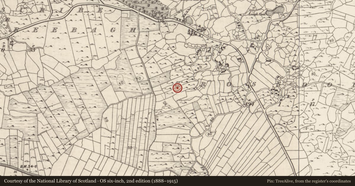 Ordnance Survey six-inch map, 2nd edition (1888–1915) covering the location of Enclosure, Crossooha, County Galway, with a pin at the register's coordinates