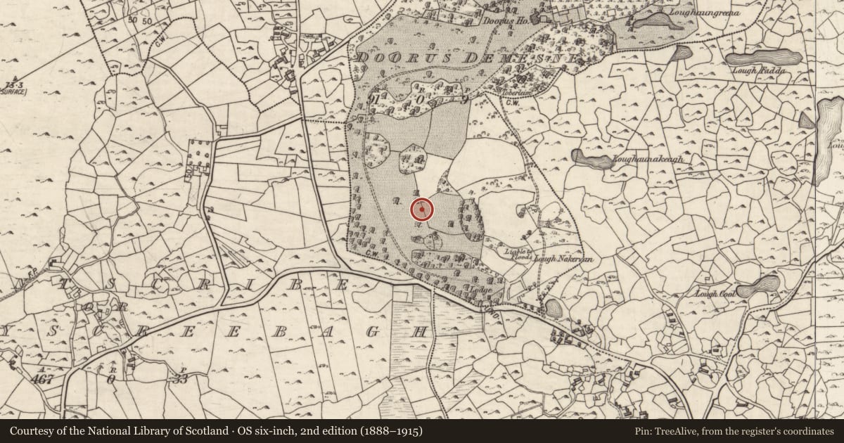 Ordnance Survey six-inch map, 2nd edition (1888–1915) covering the location of Megalithic tomb - wedge tomb, Doorus Demesne, County Galway, with a pin at the register's coordinates
