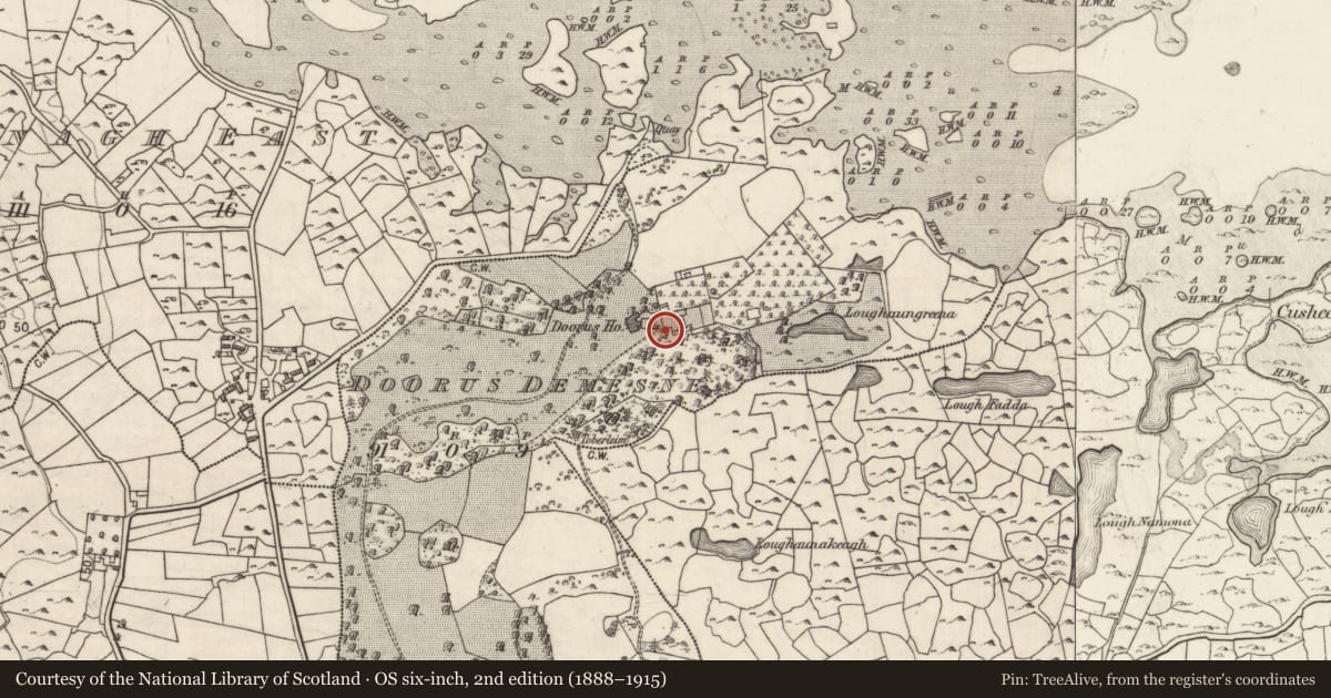 Ordnance Survey six-inch map, 2nd edition (1888–1915) covering the location of House - 18th/19th century, Doorus Demesne, County Galway, with a pin at the register's coordinates