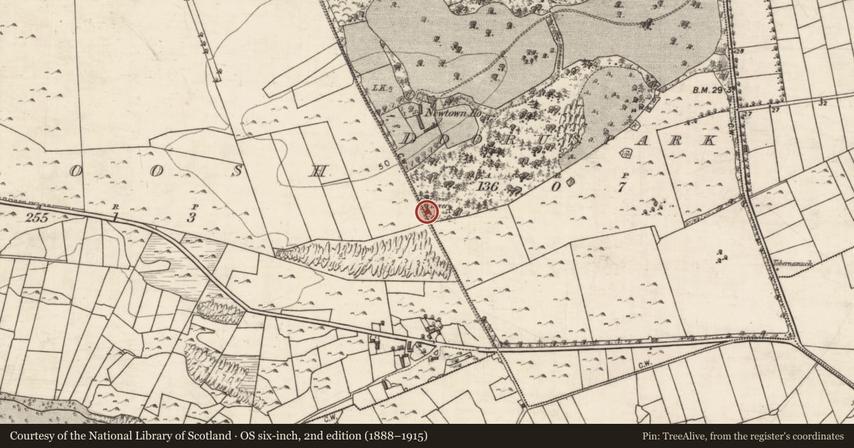 Ordnance Survey six-inch map, 2nd edition (1888–1915) covering the location of Designed landscape - folly, Dooruspark, County Galway, with a pin at the register's coordinates