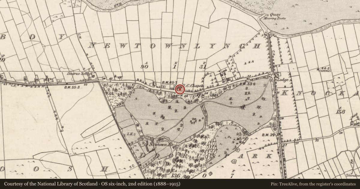 Ordnance Survey six-inch map, 2nd edition (1888–1915) covering the location of Church, Dooruspark, County Galway, with a pin at the register's coordinates