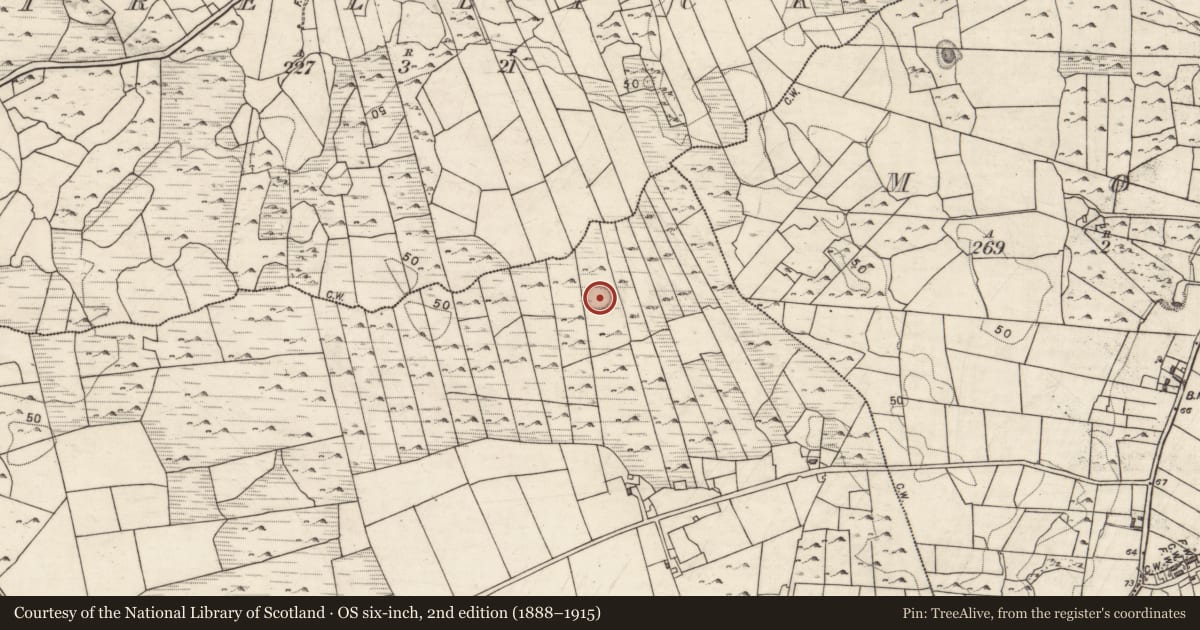 Ordnance Survey six-inch map, 2nd edition (1888–1915) covering the location of Hut site, Funshin Beg, County Galway, with a pin at the register's coordinates