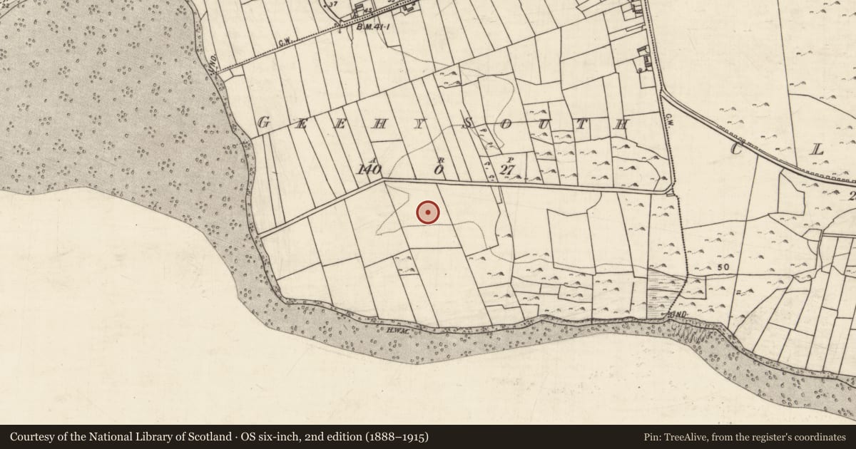 Ordnance Survey six-inch map, 2nd edition (1888–1915) covering the location of Ringfort - rath, Geehy South, County Galway, with a pin at the register's coordinates