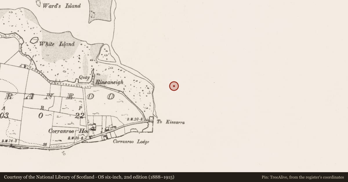 Ordnance Survey six-inch map, 2nd edition (1888–1915) covering the location of Castle - unclassified, Inishroo, County Galway, with a pin at the register's coordinates