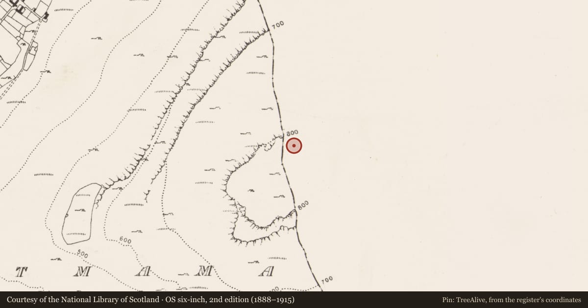 Ordnance Survey six-inch map, 2nd edition (1888–1915) covering the location of Cliff-edge fort, Leagh South, County Galway, with a pin at the register's coordinates