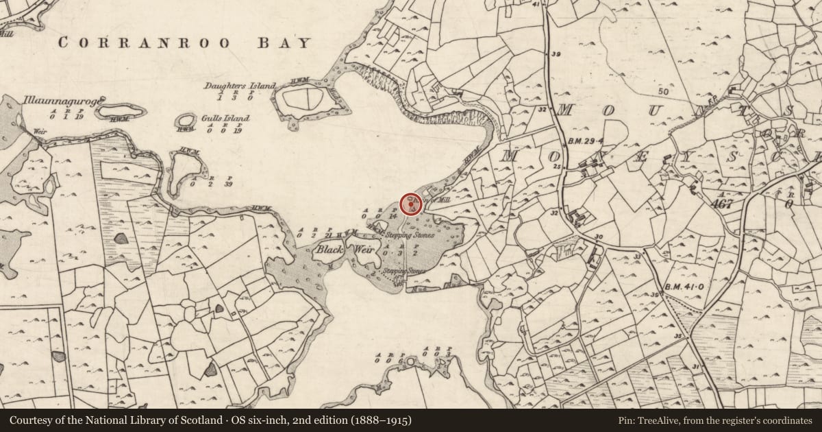 Ordnance Survey six-inch map, 2nd edition (1888–1915) covering the location of Tide mill - unclassified, Mountscribe Or Moneyscreebagh, County Galway, with a pin at the register's coordinates
