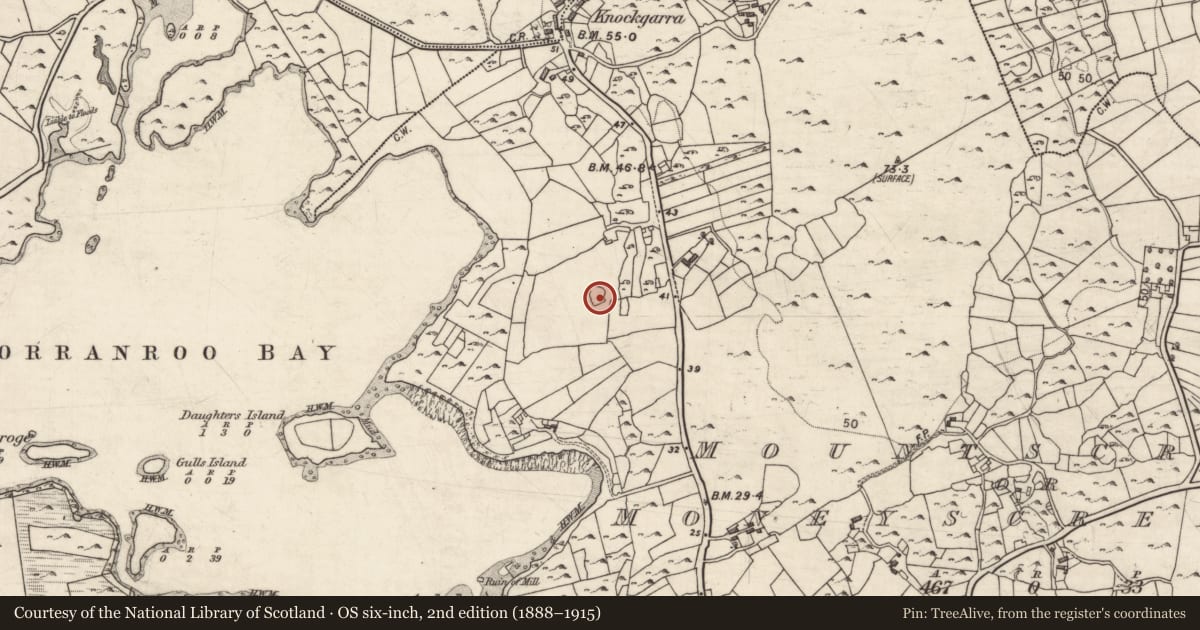 Ordnance Survey six-inch map, 2nd edition (1888–1915) covering the location of Ringfort - rath, Mountscribe Or Moneyscreebagh, County Galway, with a pin at the register's coordinates