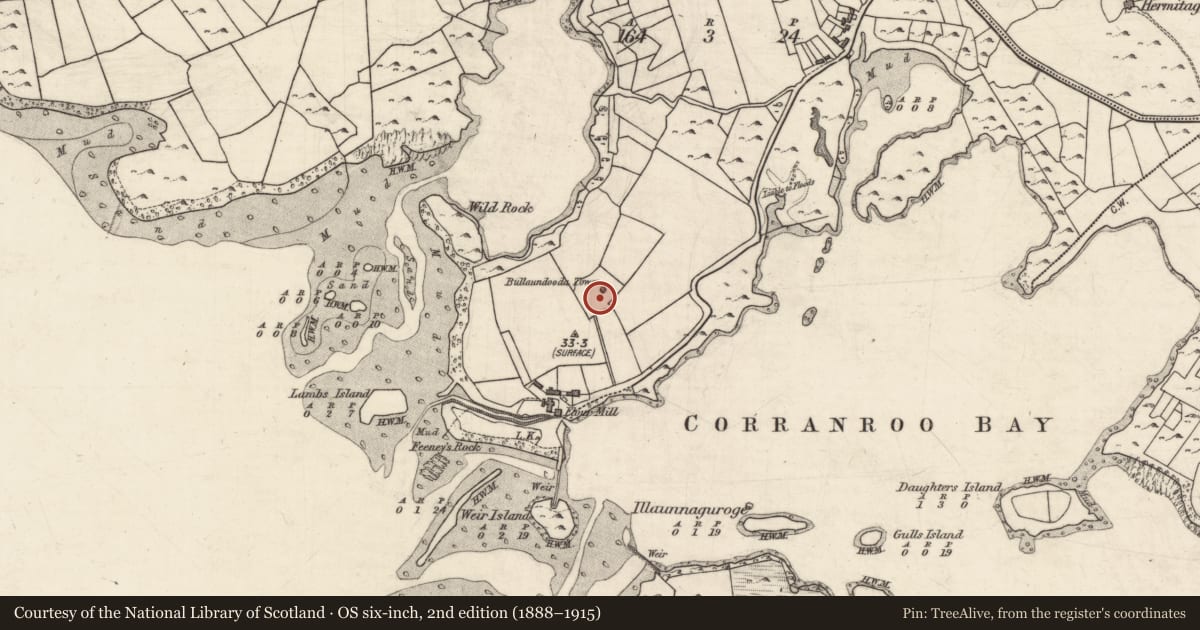 Ordnance Survey six-inch map, 2nd edition (1888–1915) covering the location of Ritual site - holy well, Rinneen, County Galway, with a pin at the register's coordinates