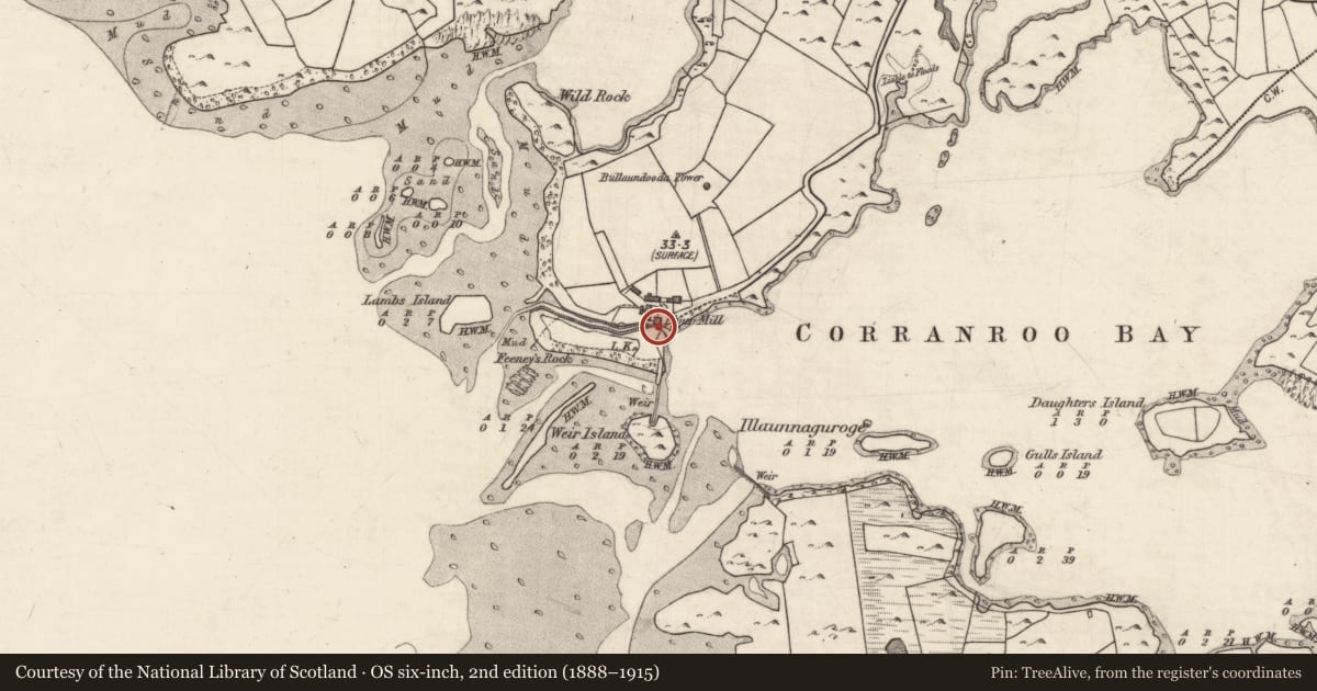 Ordnance Survey six-inch map, 2nd edition (1888–1915) covering the location of Tide mill - unclassified, Rinneen, County Galway, with a pin at the register's coordinates