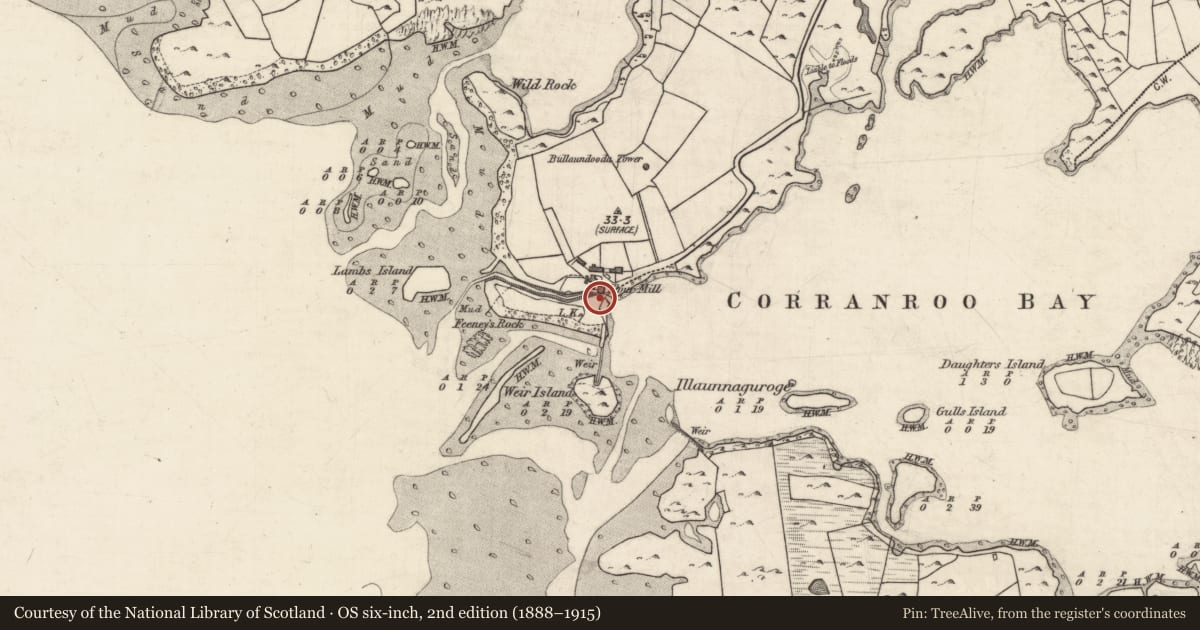 Ordnance Survey six-inch map, 2nd edition (1888–1915) covering the location of Kiln - corn-drying, Rinneen, County Galway, with a pin at the register's coordinates