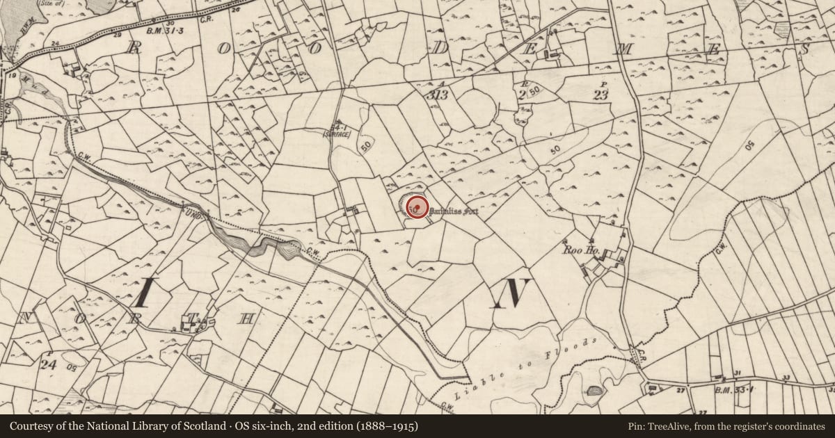 Ordnance Survey six-inch map, 2nd edition (1888–1915) covering the location of Ringfort - rath, Roo Demesne, County Galway, with a pin at the register's coordinates