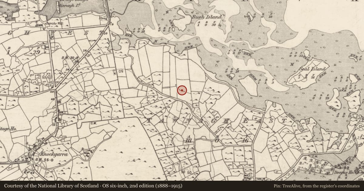 Ordnance Survey six-inch map, 2nd edition (1888–1915) covering the location of Mass-rock, Tawnagh East, County Galway, with a pin at the register's coordinates