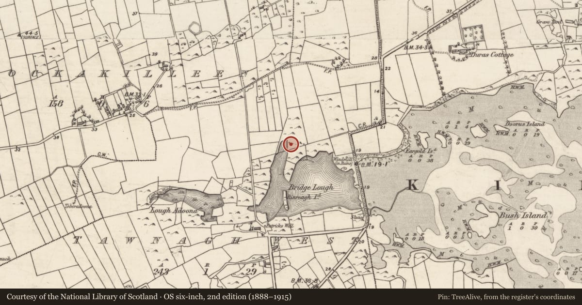 Ordnance Survey six-inch map, 2nd edition (1888–1915) covering the location of Well, Tawnagh West, County Galway, with a pin at the register's coordinates