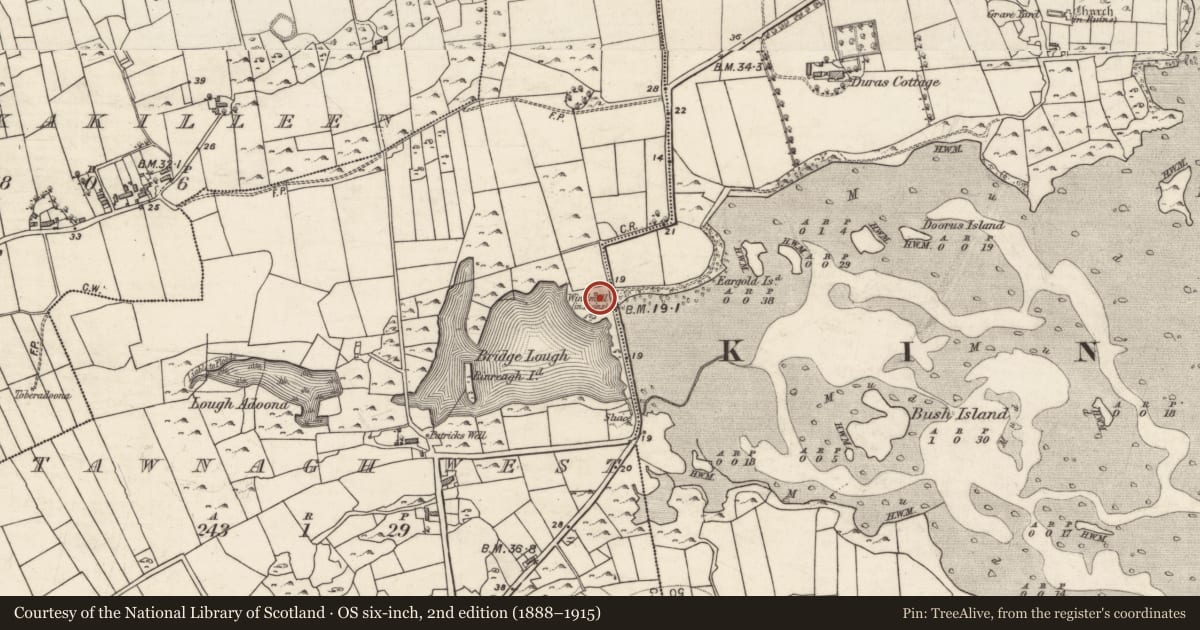 Ordnance Survey six-inch map, 2nd edition (1888–1915) covering the location of Windmill, Tawnagh West, County Galway, with a pin at the register's coordinates