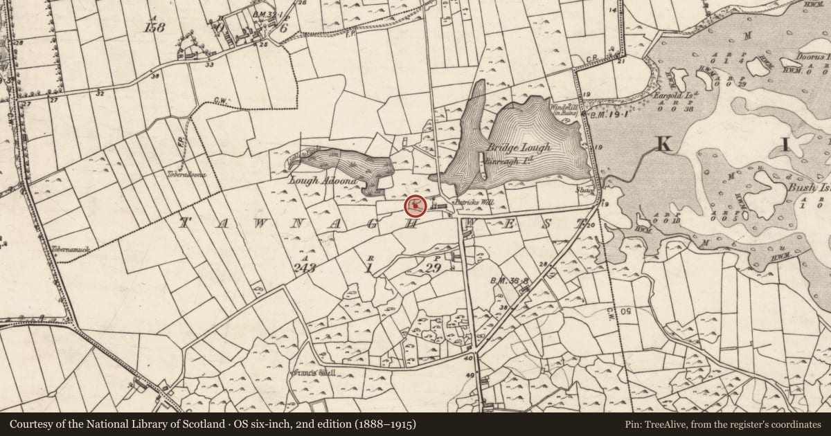 Ordnance Survey six-inch map, 2nd edition (1888–1915) covering the location of Ritual site - holy well, Tawnagh West, County Galway, with a pin at the register's coordinates