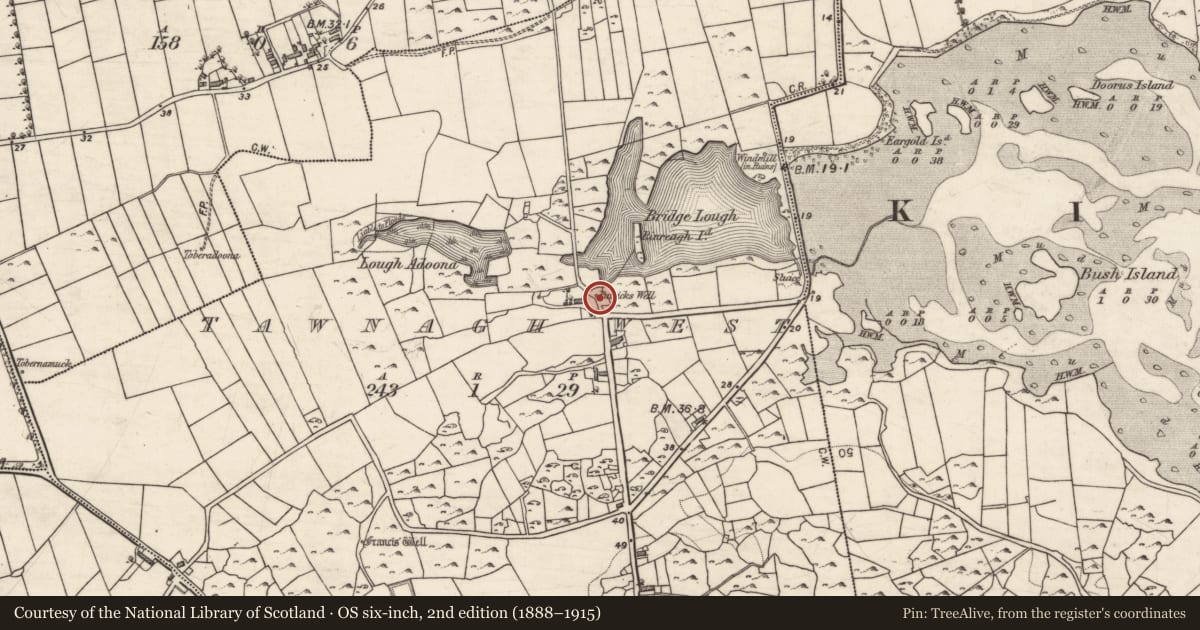 Ordnance Survey six-inch map, 2nd edition (1888–1915) covering the location of Ritual site - holy well, Tawnagh West, County Galway, with a pin at the register's coordinates