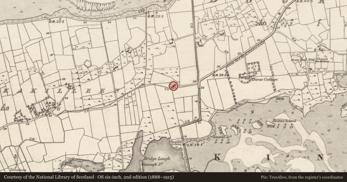 Ordnance Survey six-inch map, 2nd edition (1888–1915) covering the location of Designed landscape feature, Tawnagh West, County Galway, with a pin at the register's coordinates