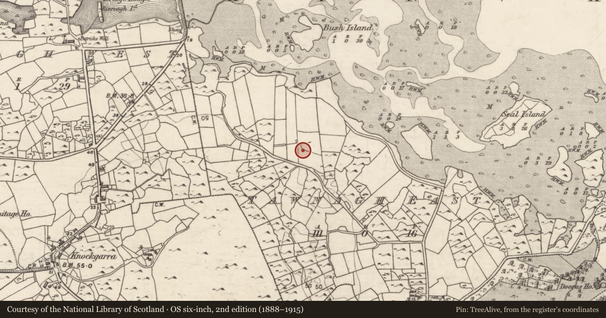 Ordnance Survey six-inch map, 2nd edition (1888–1915) covering the location of Bee-boles, Tawnagh East, County Galway, with a pin at the register's coordinates