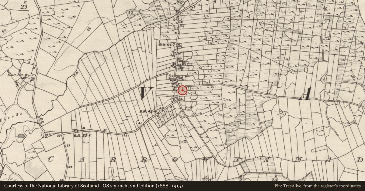 Ordnance Survey six-inch map, 2nd edition (1888–1915) covering the location of Children's burial ground, Carrownamaddra, County Galway, with a pin at the register's coordinates