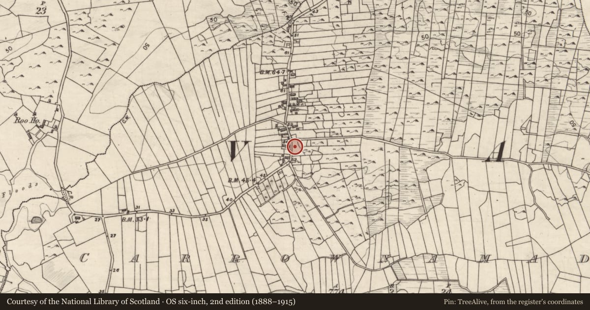 Ordnance Survey six-inch map, 2nd edition (1888–1915) covering the location of Cross-inscribed stone, Carrownamaddra, County Galway, with a pin at the register's coordinates