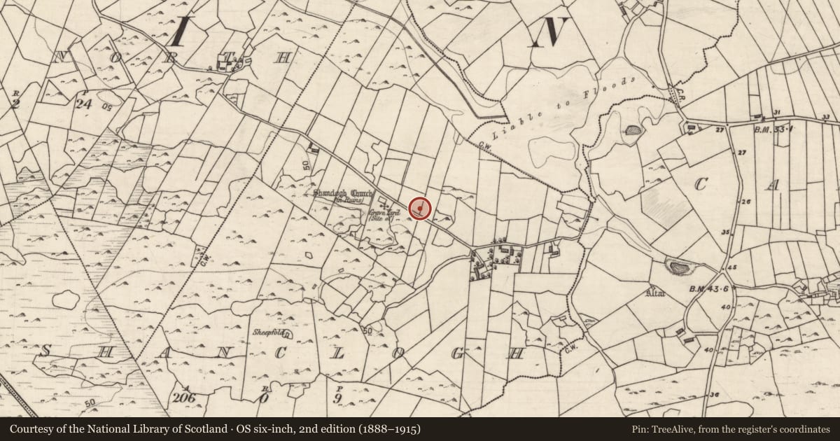 Ordnance Survey six-inch map, 2nd edition (1888–1915) covering the location of Structure, Shanclogh, County Galway, with a pin at the register's coordinates