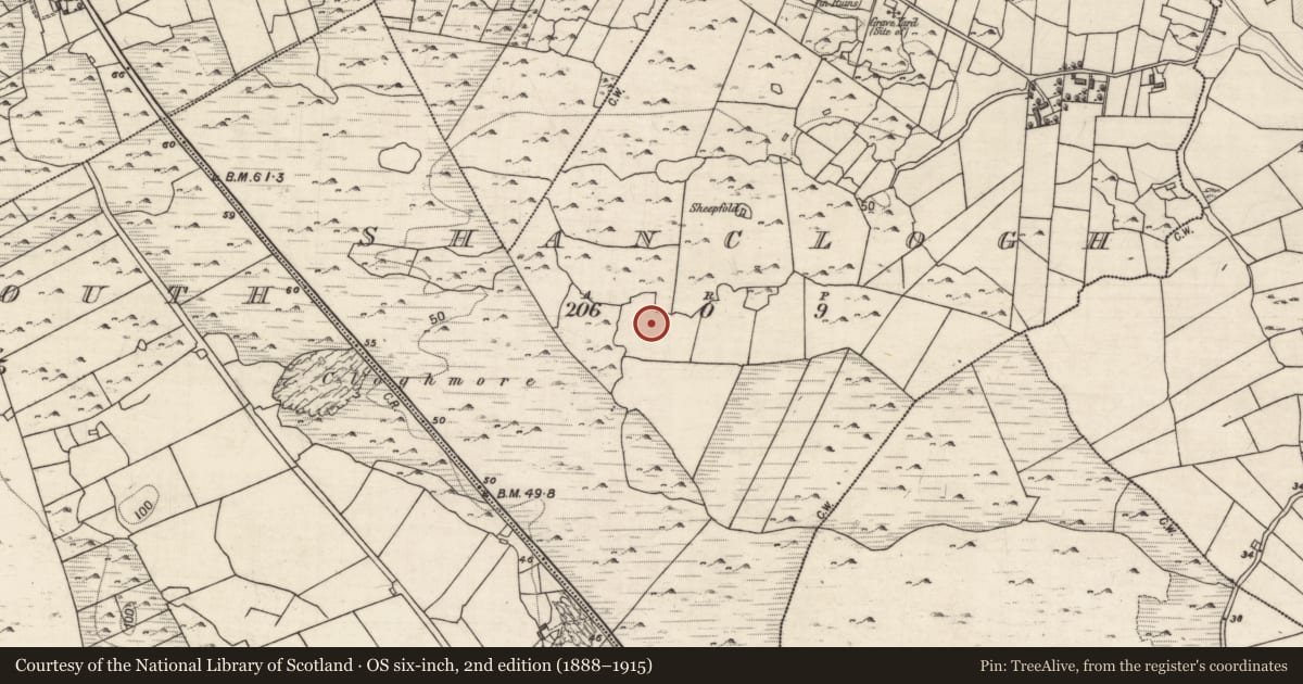 Ordnance Survey six-inch map, 2nd edition (1888–1915) covering the location of Ringfort - cashel, Shanclogh, County Galway, with a pin at the register's coordinates