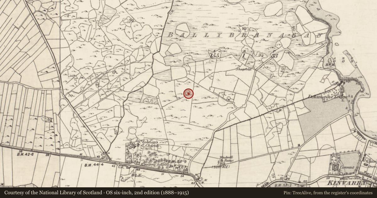 Ordnance Survey six-inch map, 2nd edition (1888–1915) covering the location of Ringfort - cashel, Ballybranagan, County Galway, with a pin at the register's coordinates