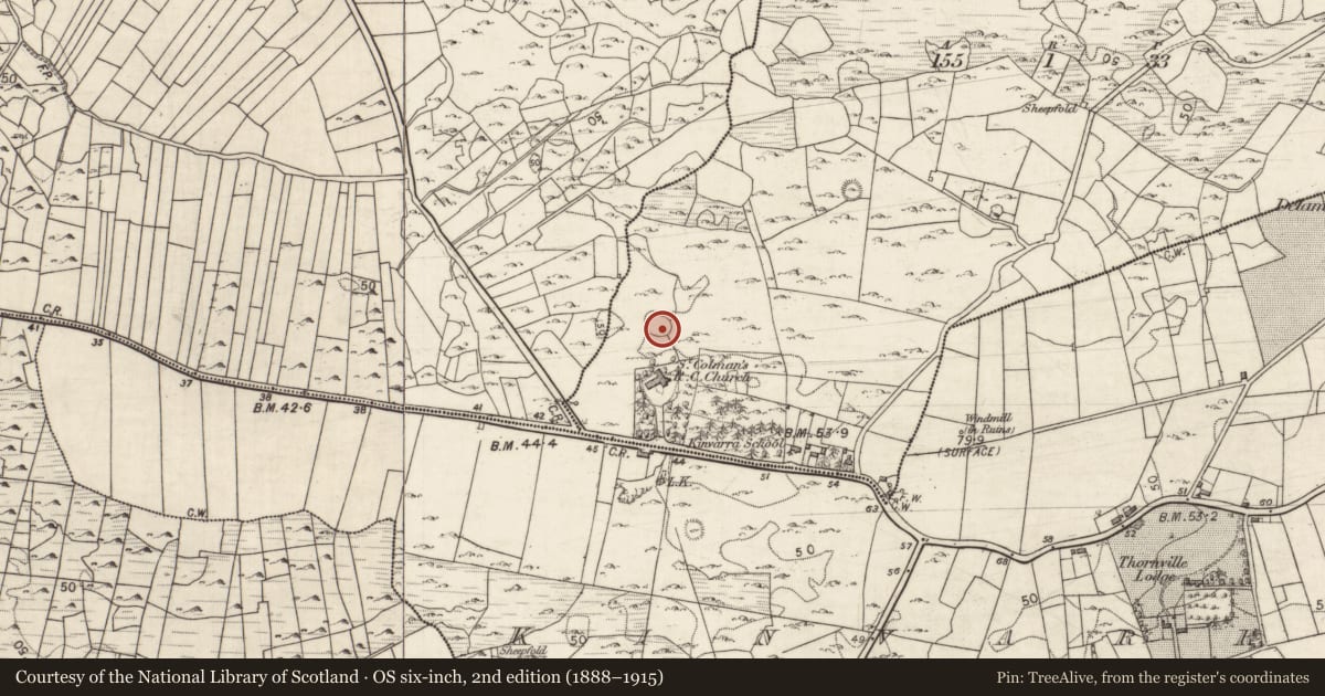 Ordnance Survey six-inch map, 2nd edition (1888–1915) covering the location of Ringfort - cashel, Ballybranagan, County Galway, with a pin at the register's coordinates