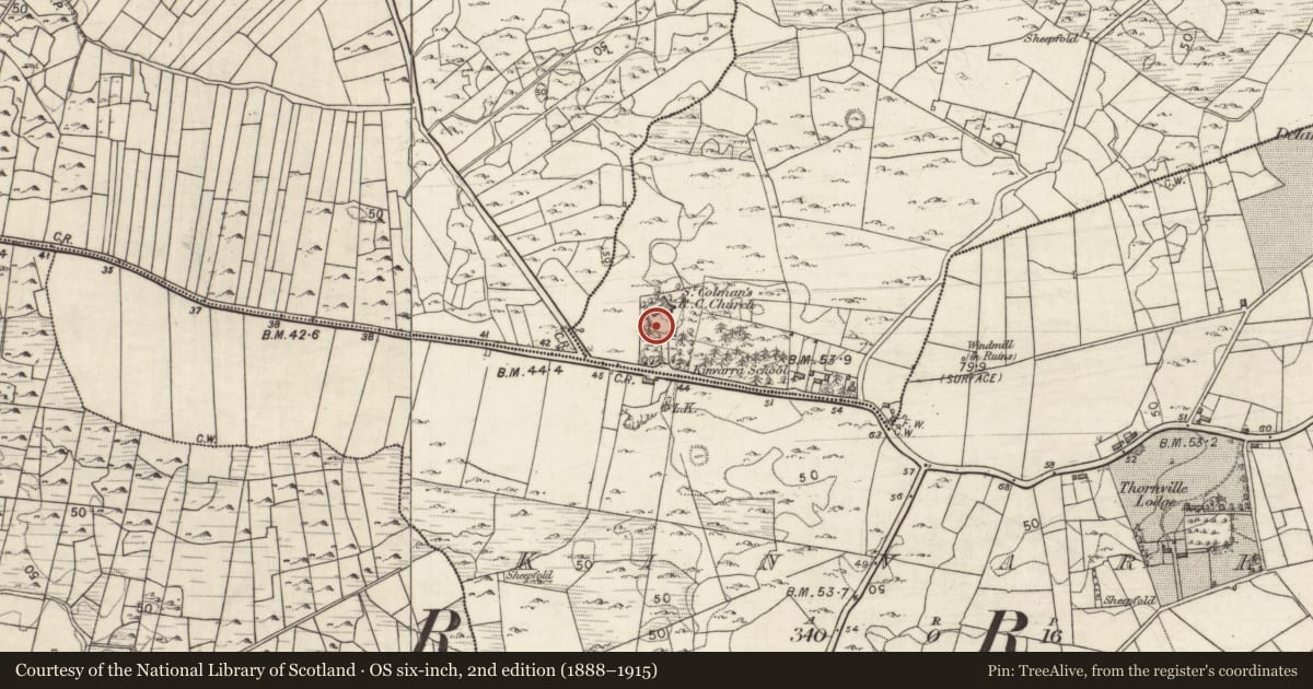 Ordnance Survey six-inch map, 2nd edition (1888–1915) covering the location of Cross - Churchyard cross, Ballybranagan, County Galway, with a pin at the register's coordinates