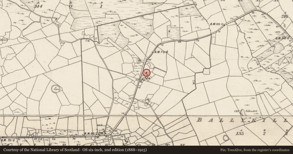 Ordnance Survey six-inch map, 2nd edition (1888–1915) covering the location of Ringfort - cashel, Ballybuck North, County Galway, with a pin at the register's coordinates
