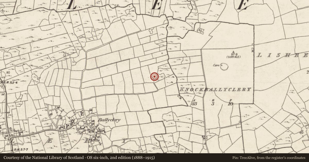 Ordnance Survey six-inch map, 2nd edition (1888–1915) covering the location of Ringfort - cashel, Ballyclery, County Galway, with a pin at the register's coordinates