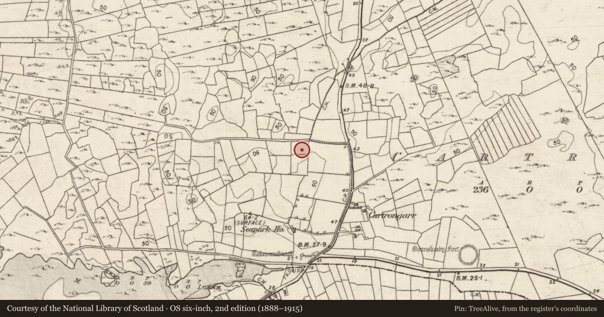 Ordnance Survey six-inch map, 2nd edition (1888–1915) covering the location of Burial ground, Ballyclery, County Galway, with a pin at the register's coordinates