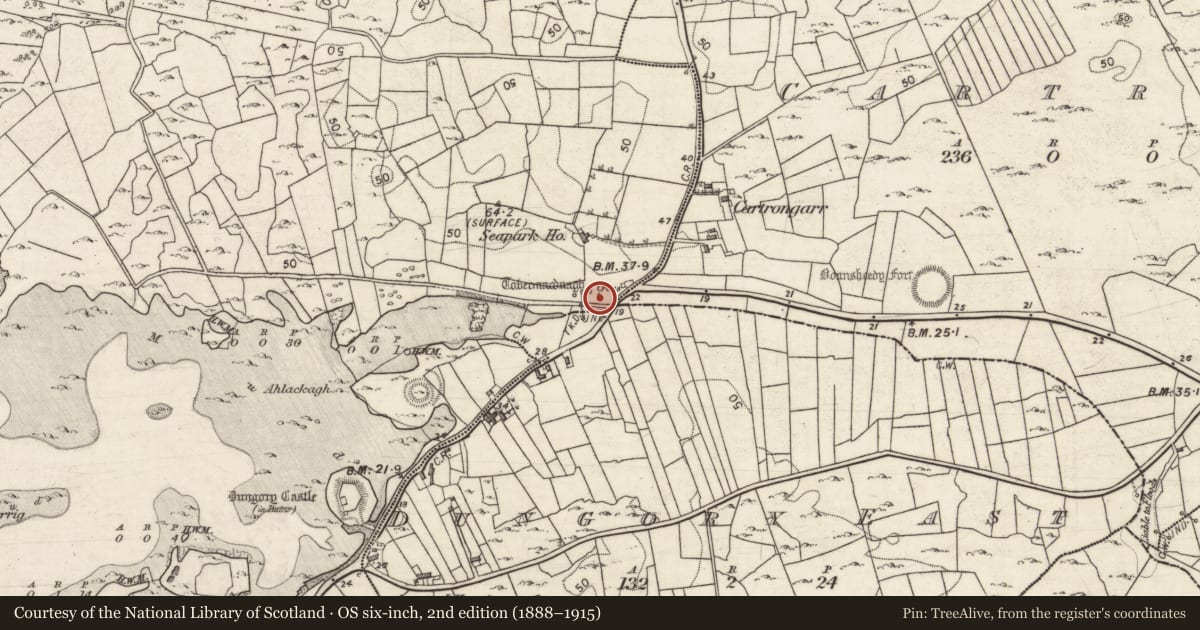 Ordnance Survey six-inch map, 2nd edition (1888–1915) covering the location of Ritual site - holy well, Ballyclery, County Galway, with a pin at the register's coordinates