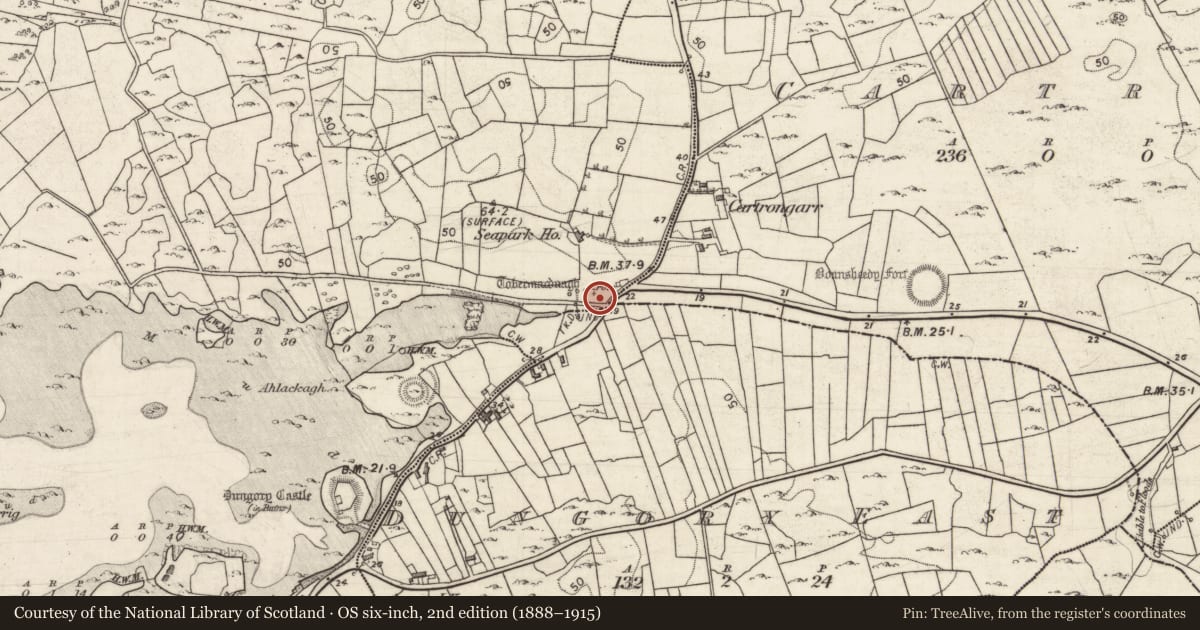 Ordnance Survey six-inch map, 2nd edition (1888–1915) covering the location of Cross, Ballyclery, County Galway, with a pin at the register's coordinates
